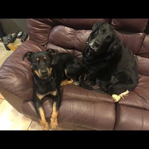 Meet your Posher, Glendy